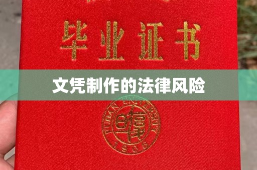 保税区文凭制作的法律风险